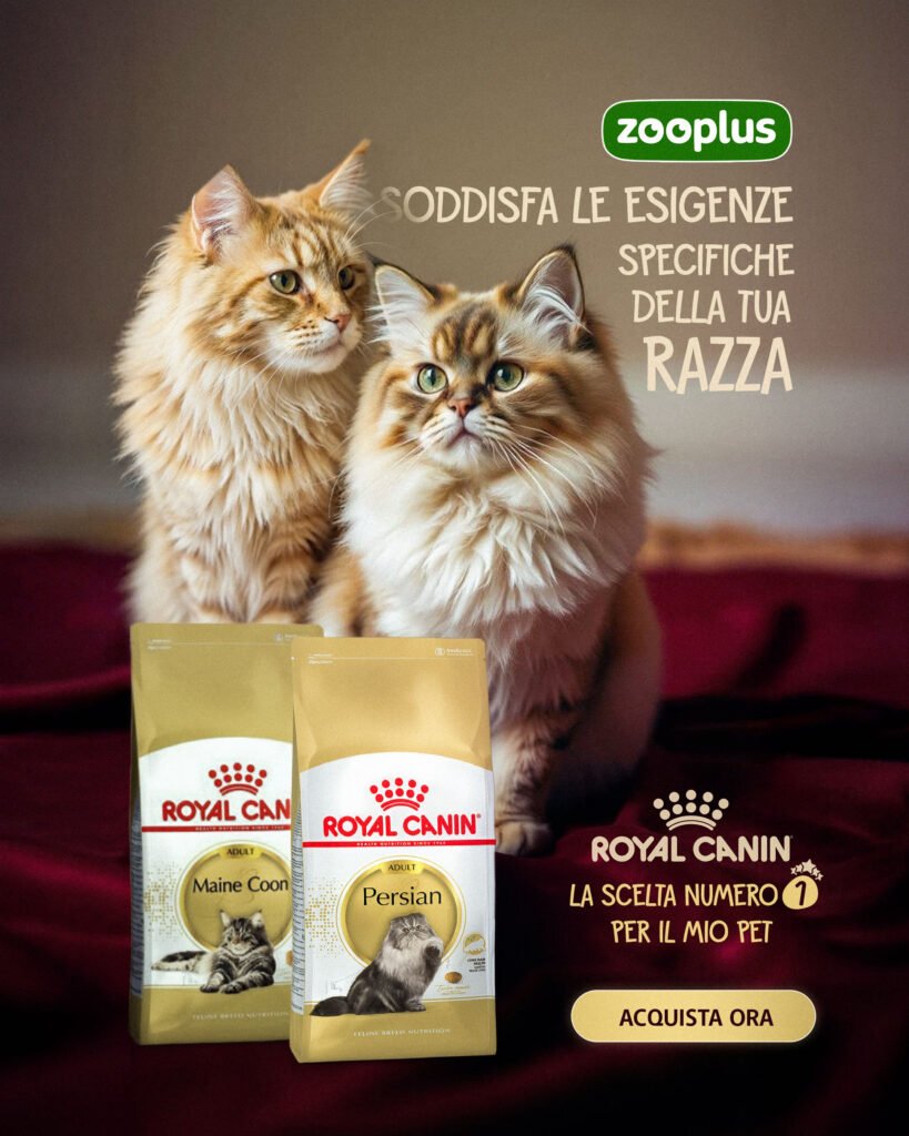 Home | CrartivePub 1